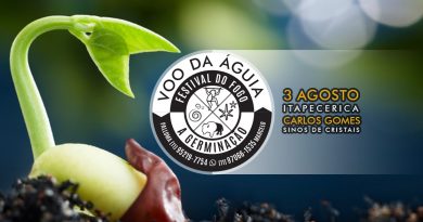 VOO DA ÁGUIA - FESTIVAL DO FOGO