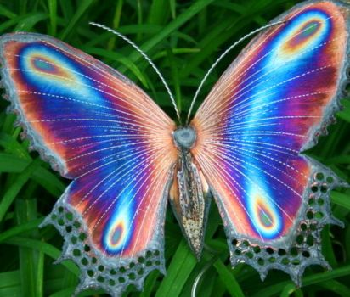 Arquivos borboleta - Xamanismo